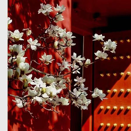 Hotel Cote Cour Deductive Beijing - Quadrangle Close To Tiananmen Square & Forbidden City & Nanluoguxiang, Walk To Wangfujing, English Speaking, Free Wifi, Free Laundry, Free Wonton & Noodles With Tour Ticket Service, Free Selfies With Ancient Costum Ngoại thất bức ảnh